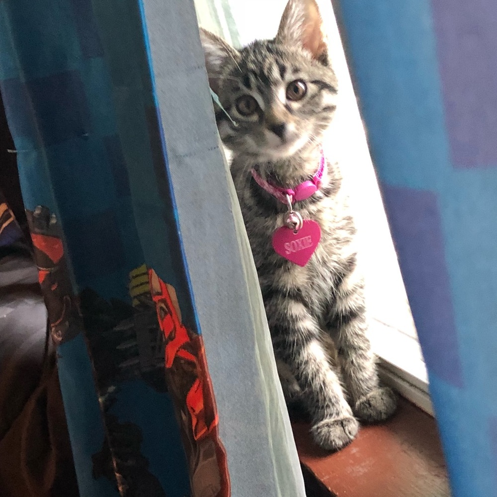 Meet your Posher, Martha